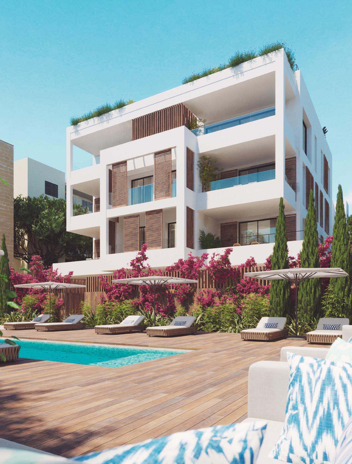 Palma para cosmopolitas